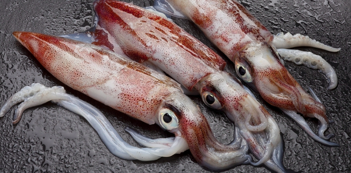 Xuất khẩu mực, bạch tuộc sang thị trường Nhật Bản có tín hiệu phục hồi 